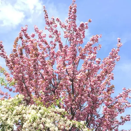 Charming Boutique Country House: La Casa Vieja